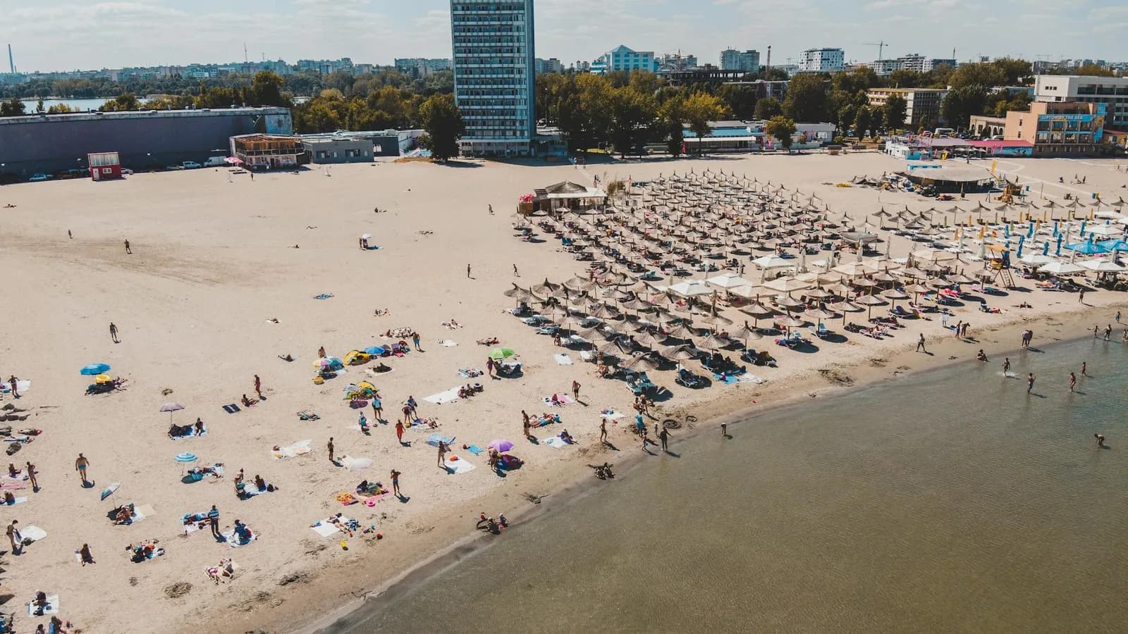 Animația boemă